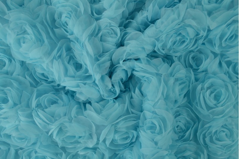 Mesh Rosen Spezial blau