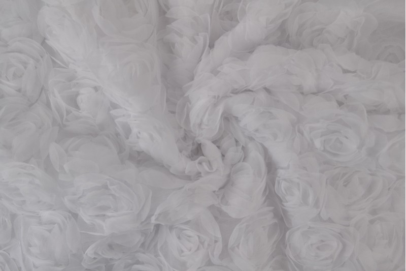 Mesh Rosen Spezial